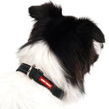 Ezydog Checkmate Collar Black Xlarge