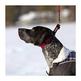 Ezydog Checkmate Collar Black Xlarge