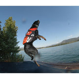 Ezydog Dog Flotation Device Xs Yellow