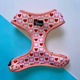 Lil Zoomi Adjustable Harness Lots Of Love Large