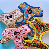 Lil Zoomi Collar Pawfee Medium