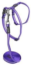 Alleycat 8mm Harness & Lead Purple
