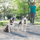 Petsafe 300m Core Remote Trainer