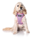 Doog Neoflex Harness Luna Xs