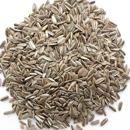 Avigrain Sunflower Seed 1.5kg
