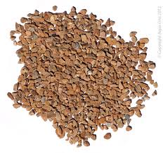 Betta Naturals Gravel Sandstone 500g