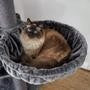 Kazoo Kitty Tall Cubby Playground Charcoal Grey