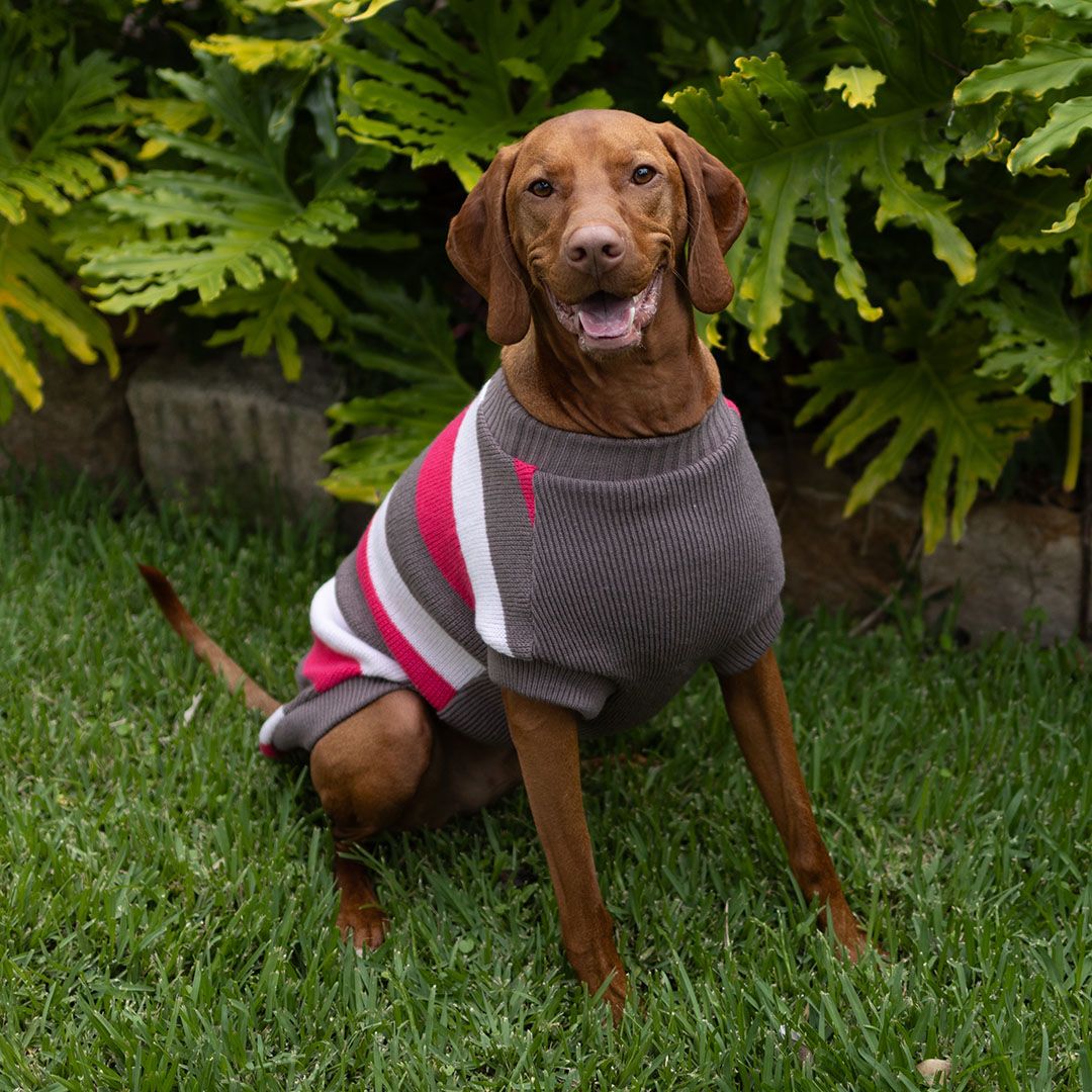 Chestie Jumper 66cm Pink