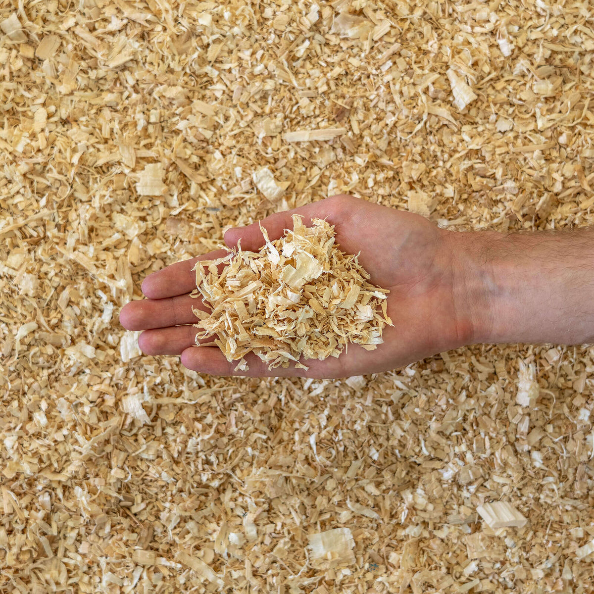 Better Grow Shavings Bale 10kg