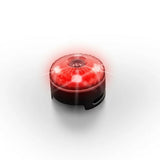 Ezydog Go2 Light Red