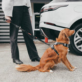 Ezydog Travel Car Click Leash