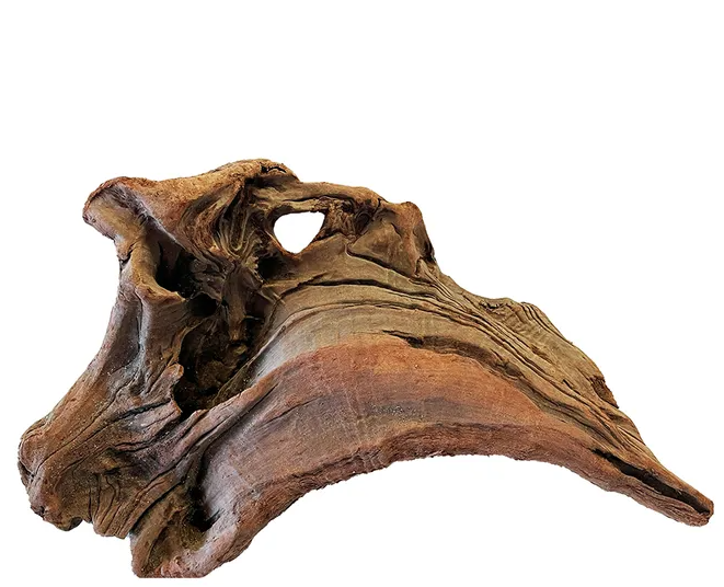 Nz Exotic Wood M 30cm
