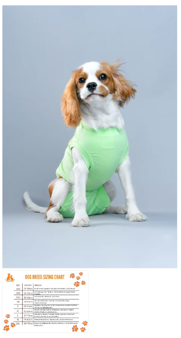 Dog Recovery Suit Summer Green 2xl