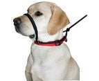 Sporn Head Halter Large Black