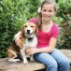 Petsafe Rechargeable Add A Dog Collar