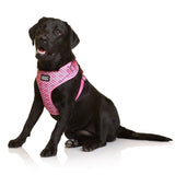 DOOG NEOFLEX HARNESS TOTO XS