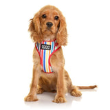 DOOG NEOFLEX HARNESS SCOOBY XS
