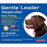 GENTLE LEADER HEADCOLLAR LARGE BLACK