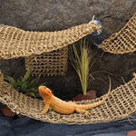 Lizard Loungers Small Corner