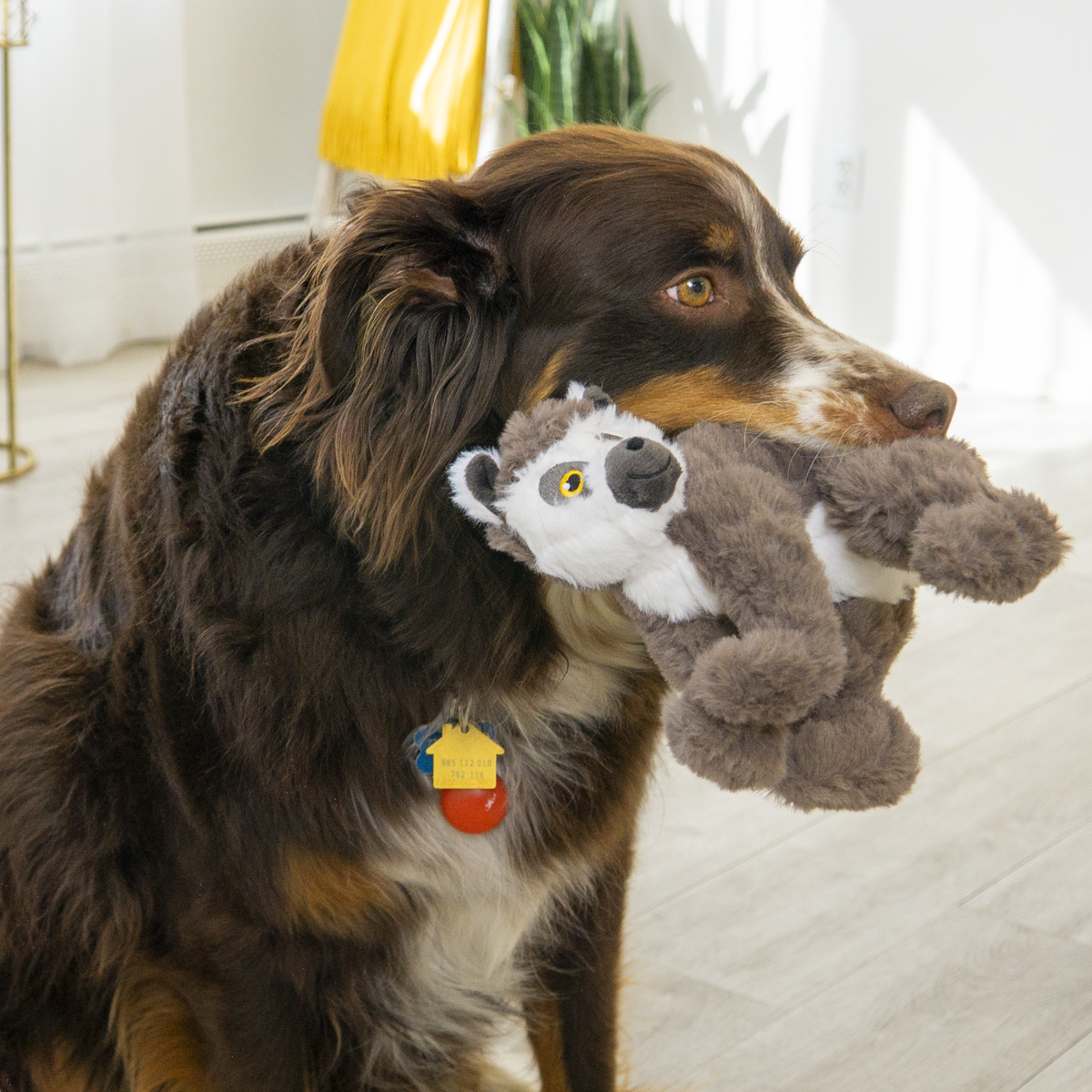 Kong Scampers Lemur Med