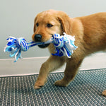 Kong Puppy Rope Stick Small/med