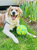 Kong Flexball Sport Ball Xl