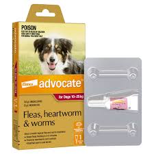 Advocate Dog 10-25kg Single Expires 11/2024