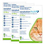 Revolution Plus Cat Large 5-10kg 12 Doses