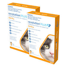 Revolution Plus Cat Medium 2.5-5kg 12 Doses