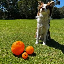 Aussie Dog Buddy Ball Medium