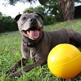 Aussie Dog Durapro Ball 3" Yellow