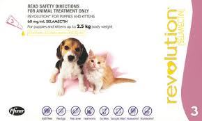 Revolution Puppy & Kitten To 2.5kg 12pk