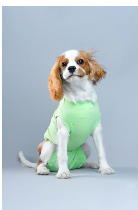 Dog Recovery Suit Summer Green M