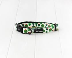 Lil Zoomi Collar Succulent Small