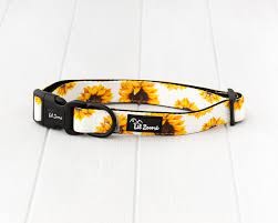 Lil Zoomi Collar Sunflower Large