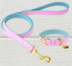Lil Zoomi Leather Lead Prudence Pink/blue Small
