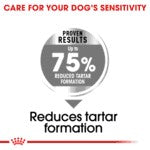 Royal Canin Maxi Joint Care 10kg
