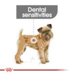 Royal Canin Mini Dental Care 3kg