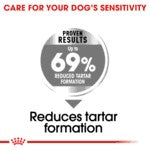 Royal Canin Mini Dental Care 3kg