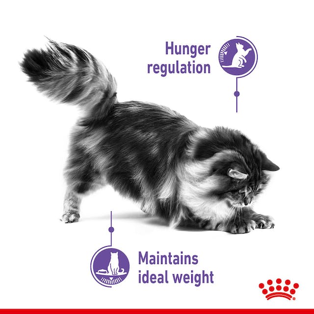 Royal Canin Apetite Control 3.5kg