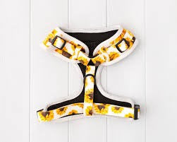 Lil Zoomi Adjustable Harness Sunflower Large