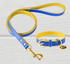 Lil Zoomi Leather Collar Weston Blue/gold Small