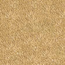 Sera Betta Granules 24g