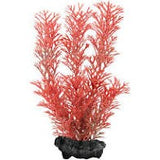 Tetra Decoart Foxtail Red M