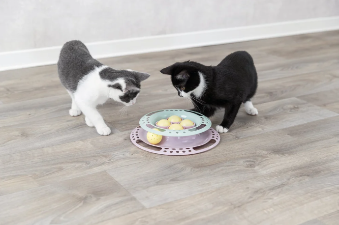 Trixie Junior Kitten Circle