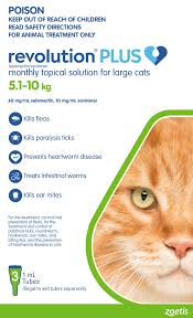 Revolution Plus Cat Large 5-10kg Single