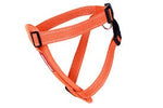 Ezydog Chest Plate Harness Xl Orange 