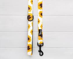 Lil Zoomi Lead Sunflower Medium 2.0cm 