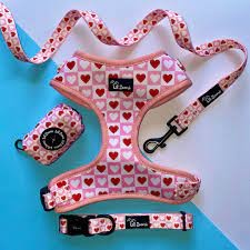 Lil Zoomi Adjustable Harness Lots Of Love Large 