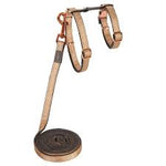 Rogz Urbancat Control Harness And Lead Gold Rush S